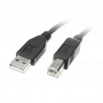 Cbl USB A/B 10ft