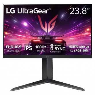 LG 24" 24GS65F-B