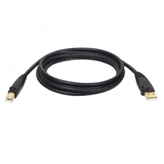 Cbl USB A/B 6ft Gold Tripplite U022-006